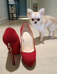 Moda Buty Szpilki - 1271051