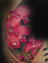 Tatuaże - 1368627