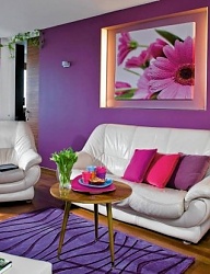 Misz-masz - 1642279