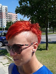 Fryzury Krótkie Na co dzień Proste Irokez damski Kolorowe - 2731653