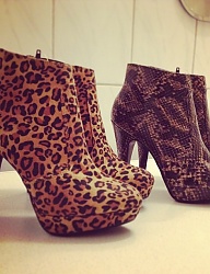 Moda Buty Botki - 2492468