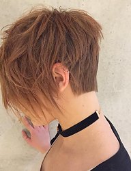 Fryzury Krótkie Na co dzień Proste Rozpuszczone Blond - 3270531