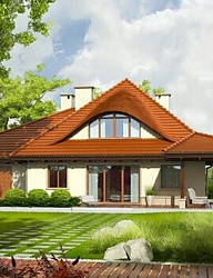 Ogród - 2967682