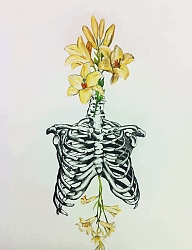 Hobby - 2110336