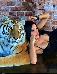 Misz-masz - 2658359