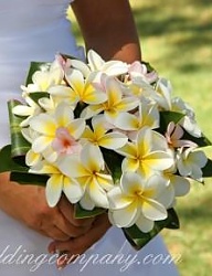 Moda Ślub Bukiety ślubne - 455965