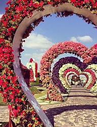 Misz-masz - 2652384