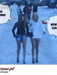 Humor - 2404451