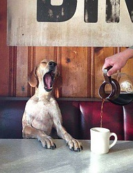 Humor - 2073202