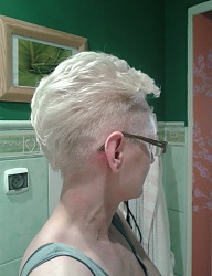 Fryzury Krótkie Na co dzień Proste Irokez damski Blond - 2761331
