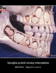 Humor - 1947116