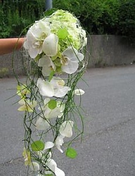 Moda Ślub Bukiety ślubne - 316814
