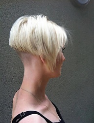 Fryzury Krótkie Na co dzień Proste Rozpuszczone Blond - 2127832