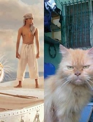 Humor - 1651152