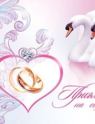 Moda Ślub Ślubne akcesoria - 2150790