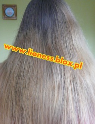 Fryzury Długie Na co dzień Proste Rozpuszczone Blond - 2108450