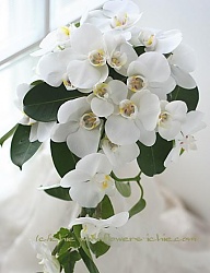 Moda Ślub Bukiety ślubne - 288247