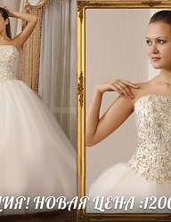 Moda Ślub Suknie ślubne - 2158656