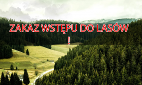 Od 3 kwietnia ZAKAZ WSTĘPU DO LASÓW. Oburzenie w sieci: "A myśliwych wirus nie rusza?!"