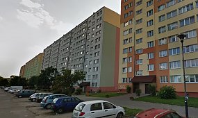 Łódź: Rodzice prowadzili dzieci na smyczy na czworaka jak psy. Zdjęcia trafiły na policję