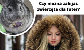 Czy popierasz zakaz hodowli zwierząt futerkowych? Aktywista pokazał koszmar na fermie norek