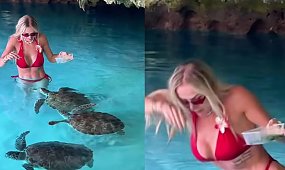 Eliza Trybała w mikroskopijnym bikini zaatakowana przez żółwia. Myślała, że będzie uroczo, a skończyło się krzykiem [wideo]