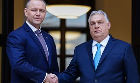 Upadek dyktatora w Budapeszcie. Karol Nawrocki po wizycie u Orbana miażdżony w sieci: "Zrobił z siebie idiotę"