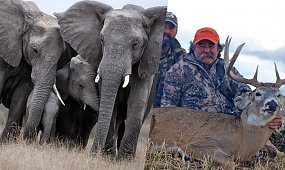 Myśliwy upolowany na śmierć! Amerykański krezus osaczony przez stado. To był wyrok