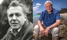 David Attenborough kończy 100 lat. To on wymyślił "ten mały przedmiot", historia wbija w fotel