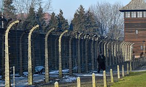 Skandal w Auschwitz. 34-latek ukarany za to, co zrobił przed obiektywem. Reakcja straży była błyskawiczna