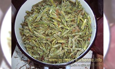 Syrop z sosny