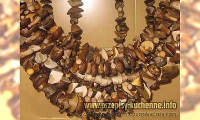 Suszenie grzybów