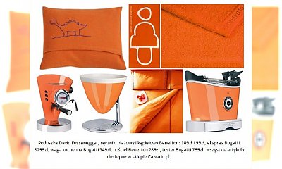 Neonowe kolory w Twoim mieszkaniu