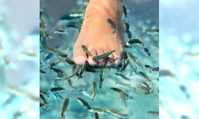 Czym jest fish pediure?