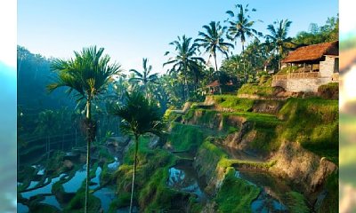 Piękne miejsca: Ubud na Bali