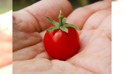 Dieta zgodna z grupą krwi