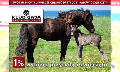 Rawa przykryta błękitem