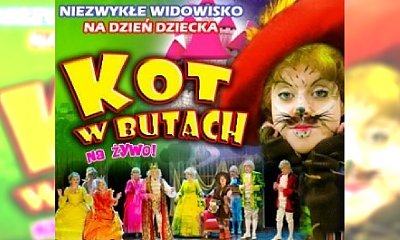 Konkurs: Kot w butach na żywo
