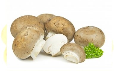 Kotlety z grzybów