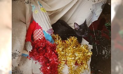 Pożegnanie Mariana z choinką - akt pierwszy i ostatni