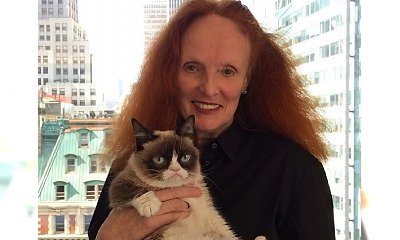 Grumpy Cat w Vogue: „Było okropnie!”