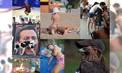 31 zdjęć uchwyconych w idealnym momencie! HAHA, TEGO JESZCZE NIE BYŁO! Nr 16 wygrywa!