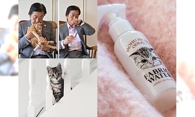 Perfumy o zapachu kota! Szaleństwo?!