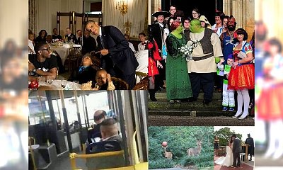 12 niesamowitych sytuacji, w które nigdy w życiu byś nie uwierzyła, gdyby nie te zdjęcia! WOW, przecież to szaleństwo! Nr 7 powala!