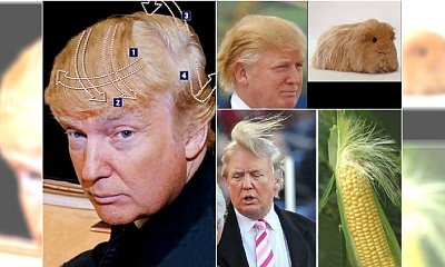 Internet szydzi z fryzury Donalda Trumpa. Zobaczcie najlepsze memy!