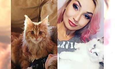 Dzień Kota: która gwiazda ma takiego pięknego pupila? "Prawdziwa miłość". A Cleo twierdzi, że kot jest lepszy od faceta!