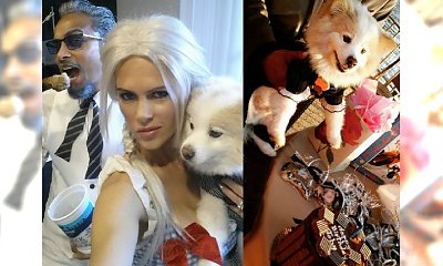 "Żony Hollywood": Iwona wyprawiła URODZINY DLA PSA. "Toby to jest mały ludź, może mieć party, gdzie chce"