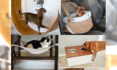 Świetne patenty, które umilą życie Twojego czworonoga!