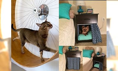 GENIALNE patenty, które sprawią, że Twój czworonożny przyjaciel będzie zachwycony