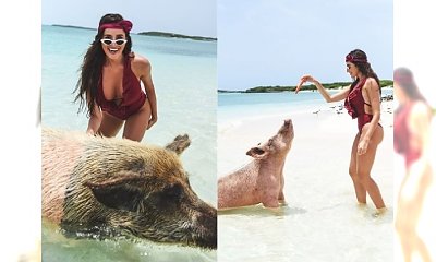 Boska dziewczyna Krychowiaka szaleje ze świniami w oceanie [FOTO]
